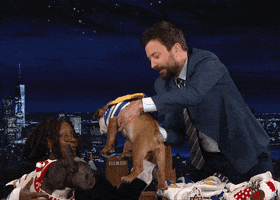 Jimmy Fallon Puppy GIF by The Tonight Show Starring Jimmy Fallon
