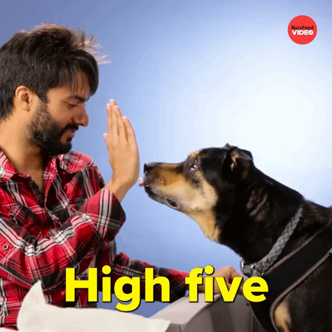 High Five Youareawesome Sticker - High Five Youareawesome Awesome -  Discover & Share GIFs