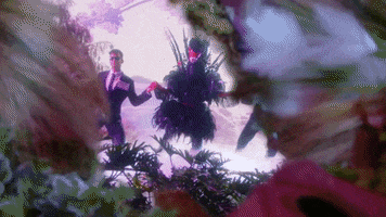 Black Swan Dance GIF by The Masked Singer