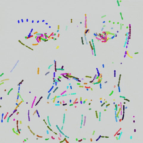 GIF by Boopy Club