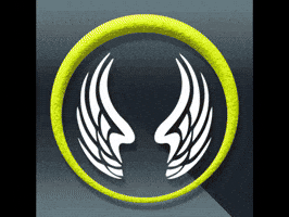 Fire Dragon GIF by SMD Graphics