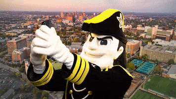 Mr C Selfie GIF by Vanderbilt University