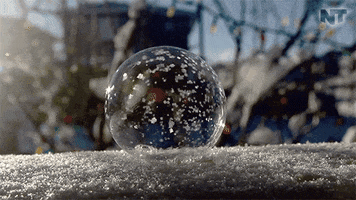 netflix winter GIF by NowThis 