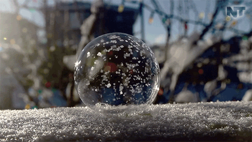 Netflix Winter GIF by NowThis - Find & Share on GIPHY