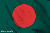 bd-flag-bangladesh-waving-EWBTUCwV2Nq8B3izOU
