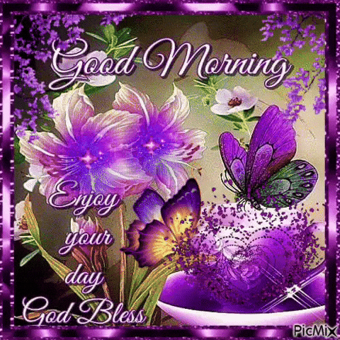 Good Morning Enjoy Your Day GIF