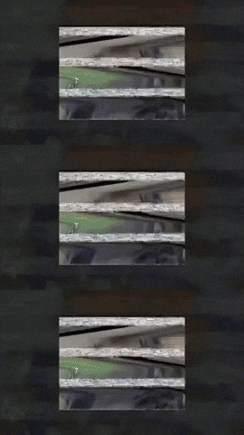 CATTURA GIF