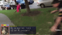 Do A Barrel Roll X200 
