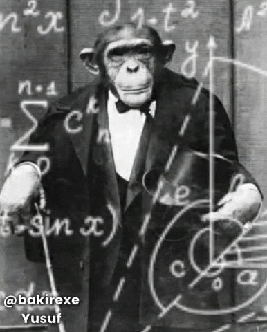Monkey Yusuf GIF