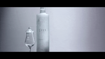 Drink Usa GIF by Catan Pisco