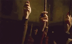 Harry Potter Wands Up GIF - Find & Share on GIPHY