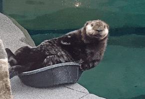 200.gif