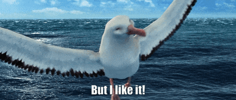 Bird GIF