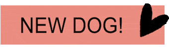 Dog Love Sticker by Fellhelden