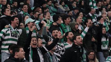Celebration Fans GIF by Sporting CP