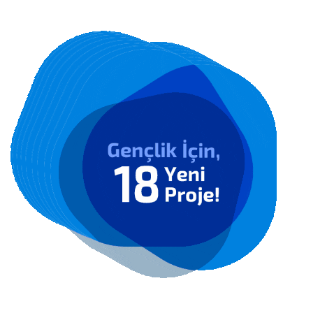 European Integration Group Sticker