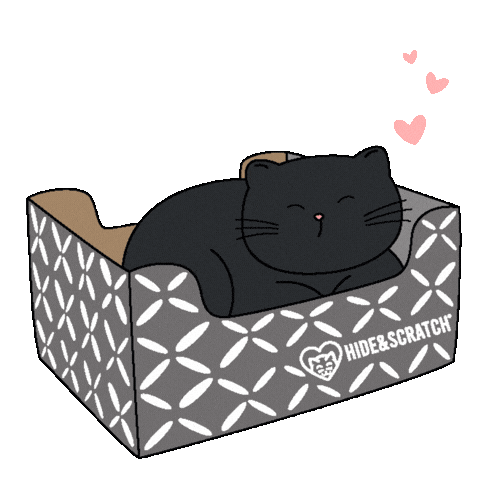 If I Fits I Sits Black Cat Sticker by Hide & Scratch