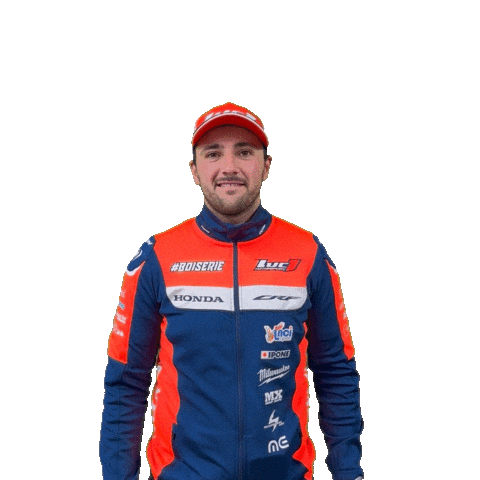 Scorpion Boiserie Sticker by Luc1