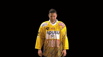 Time Hockey GIF by Vienna Capitals