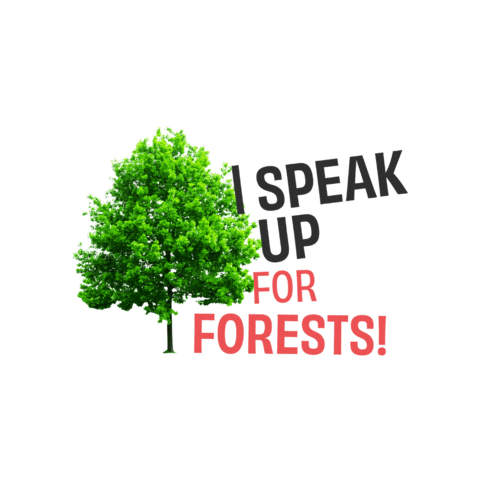 Forest Trees Sticker by UN Environment Programme