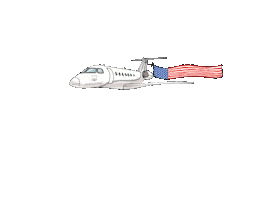 Usa America Sticker by Capolavoro jewellery