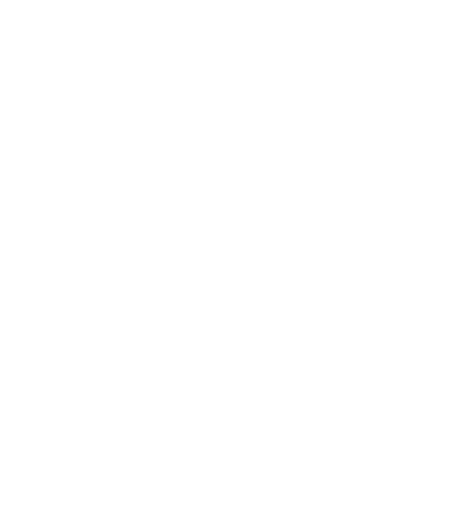 feroz Sticker