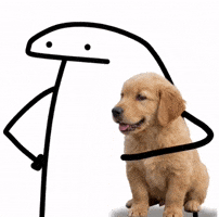 Pet Dog GIF
