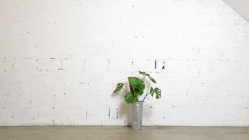 Girl Water GIF by ALL4.HOUSE