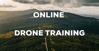 Online Drone Training GIF