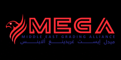 Graded GIF by MEGA