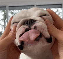 pardonthyfrench eyes relax tongue massage GIF