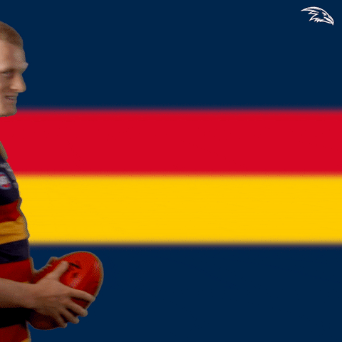 Wink Rob GIF by Adelaide Crows