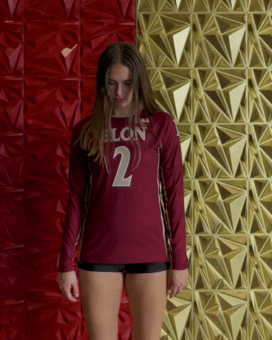 Elon Volleyball GIF by Elon Phoenix