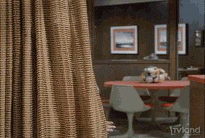 brady bunch television GIF by TV Land Classic