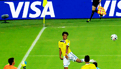 245px x 140px - Colombia nt GIFs - Get the best GIF on GIPHY