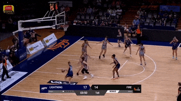 Womens Basketball Teamwork GIF by BasketballAustralia
