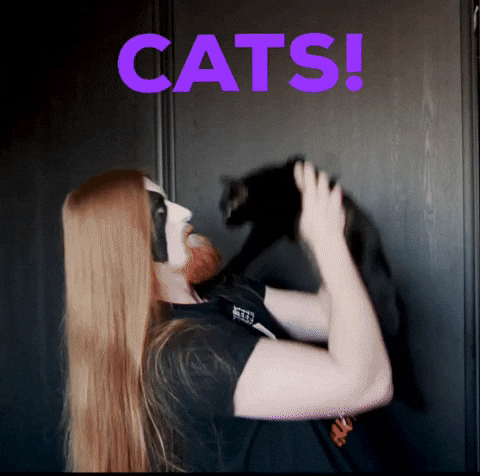 Cats GIF