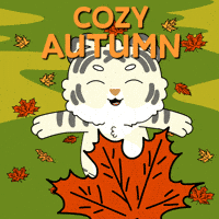 Its Fall GIF by Ordinary Frends