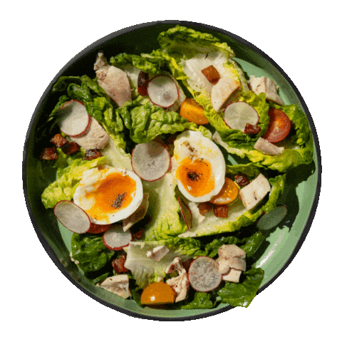 Bar Olo Dundarave Sticker