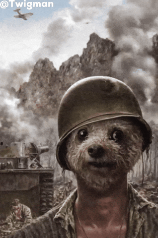 Thousand Yard Stare Rain GIF