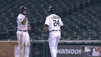 Game Win GIF by Detroit Tigers