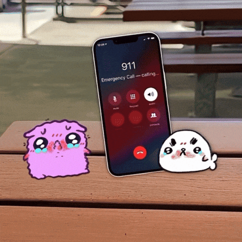 Reverse 9-1-1 GIF