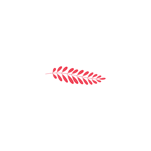 Eulaliamanual GIF by Eulália Bordado Manual