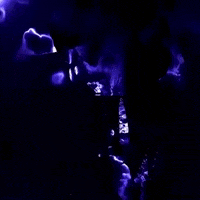Dj-lights GIFs - Get the best GIF on GIPHY Dj-lights GIFs - Get the best GIF on GIPHY