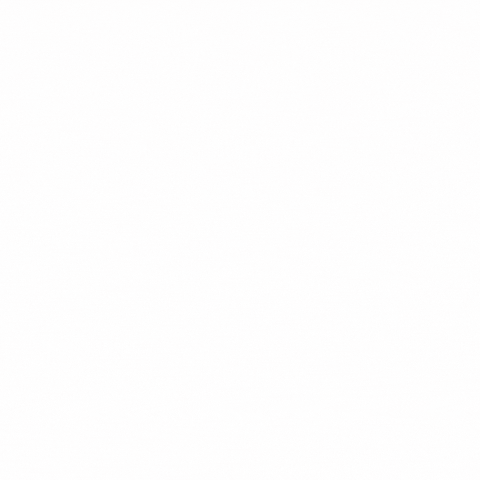 American Indian Cancer Foundation GIF