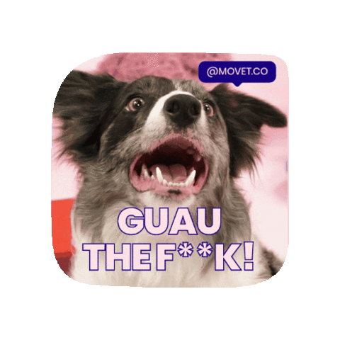 Dog Omg Sticker by Movet