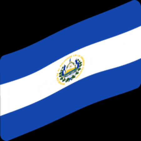 El Salvador Bandera GIF by Común