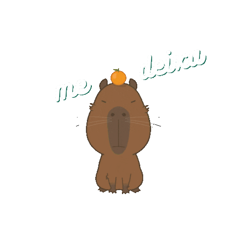 anarellisaldanha Sticker