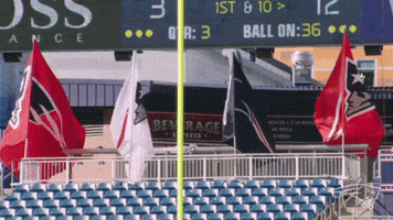 Team Spirit Reaction GIF by New England Patriots