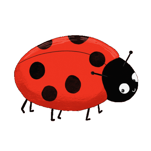 Bug Insect Sticker